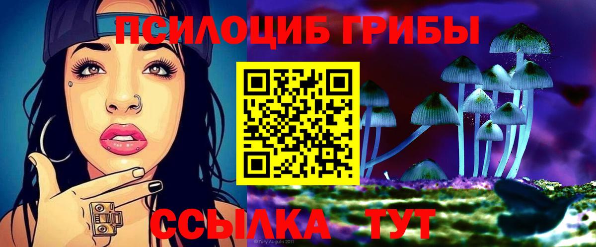 Псилоцибиновые грибы ЛСД Заводоуковск