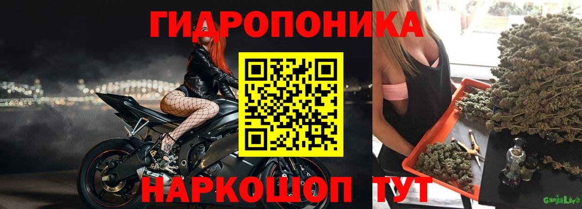 Марихуана White Widow  Шишки марихуана Ganja  МАРИХУАНА SATIVA & INDICA  Вход с VPN  Заводоуковск 